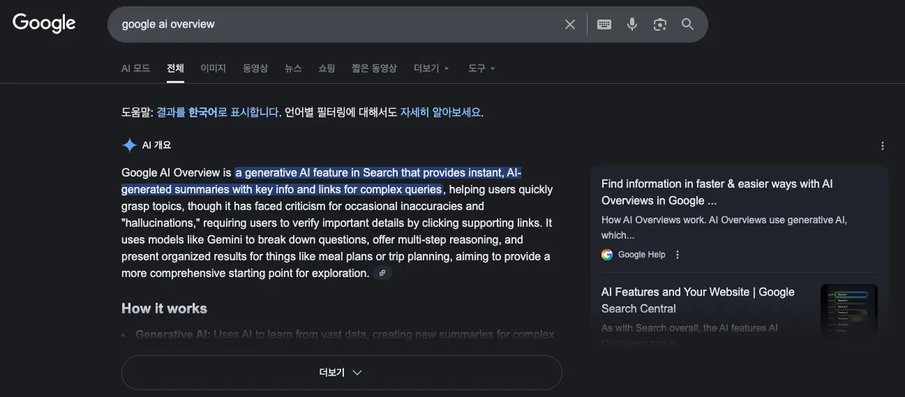 Google AI Overview 검색 결과 화면